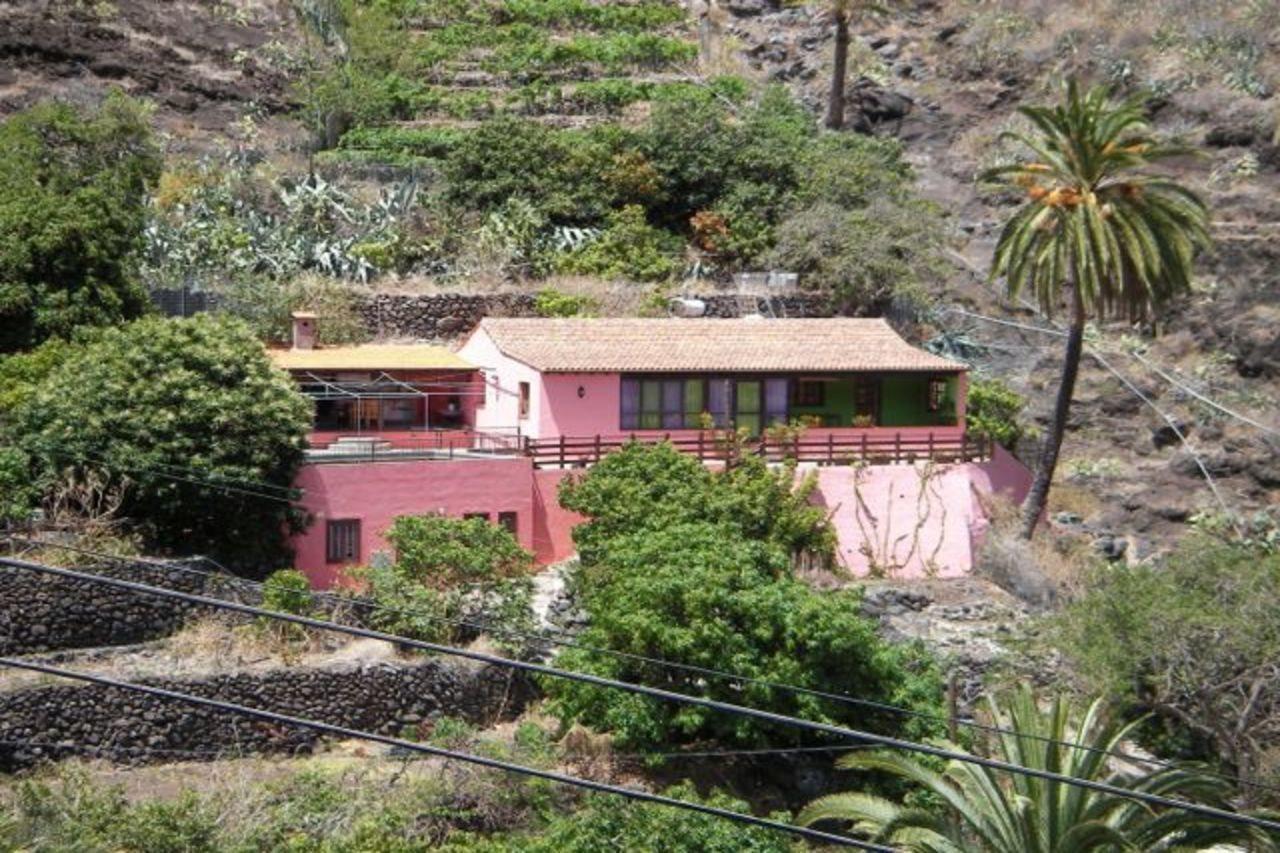 Rincon Del Olivo Lomito Fragoso y Honduras